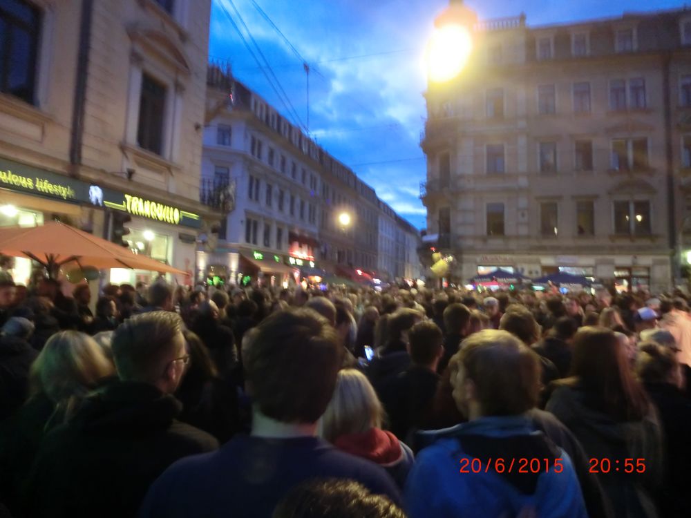 BRN 2015 – CIMG0024 (2)_02